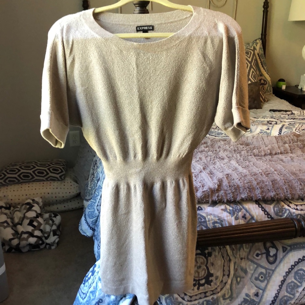 Express sweater dress